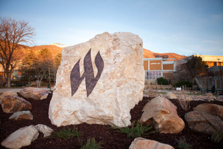 Rock with WSU logo on campus