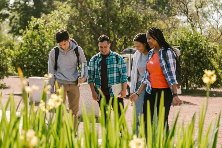 Students walking around a campus during springtime, with vegetation all around